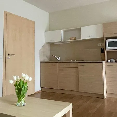 Appartement Panorama Apartmanhaz
